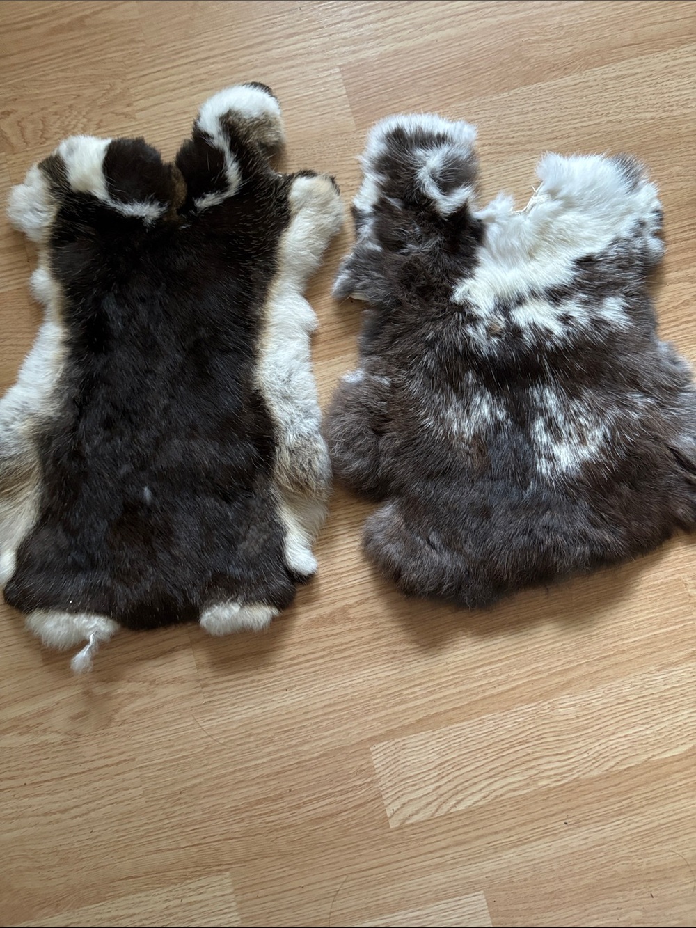 B0263 set rabbit pelts craft supply